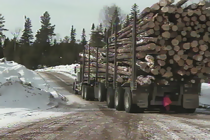 Forestry logging truck