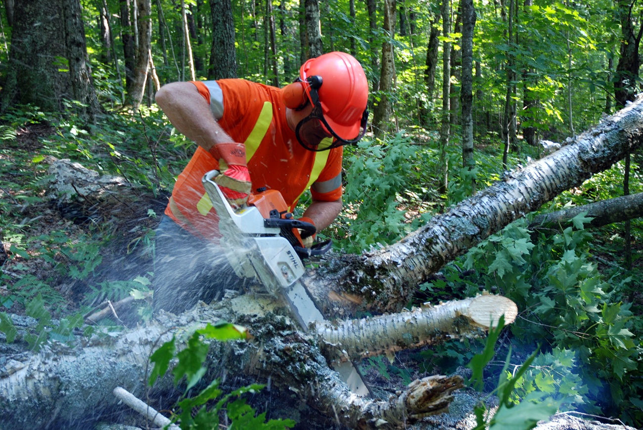 Worker using a chainsaw