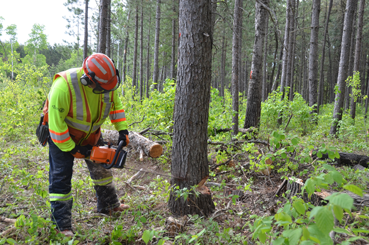 Chainsaw operator