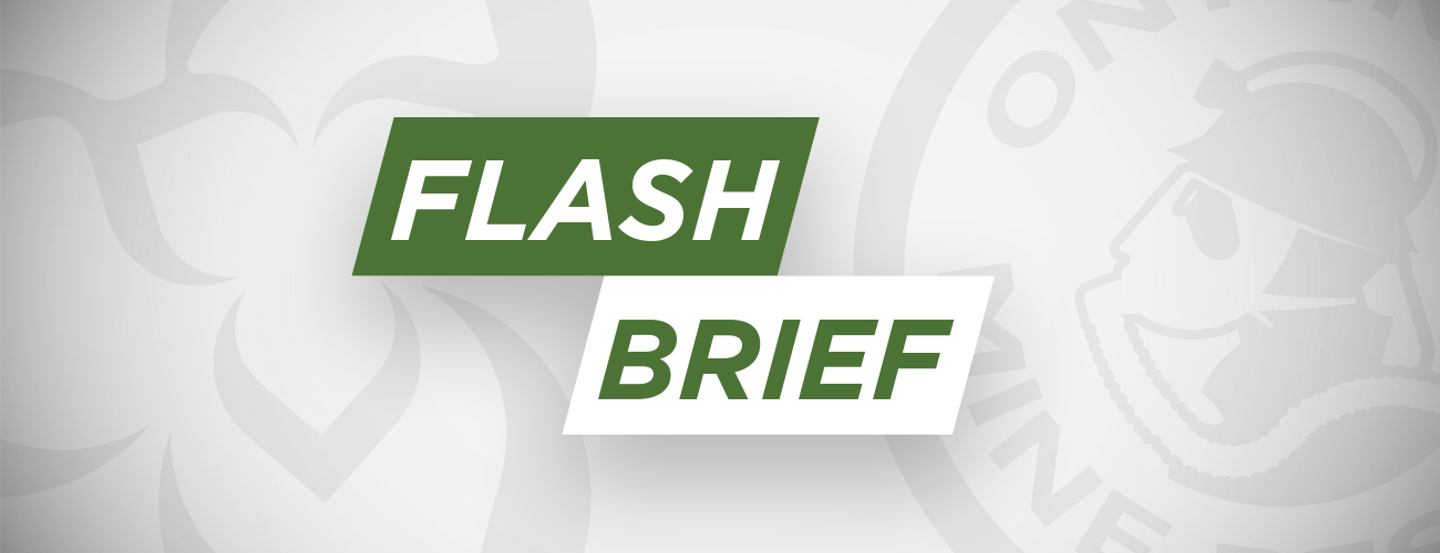 WSN Flash Brief
