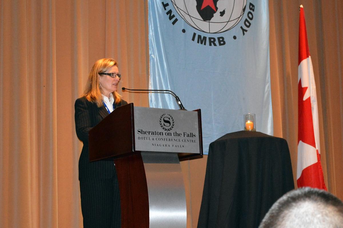 WSN CEO Candys-Ballanger Michaud speaking at IMRB 2013 conference