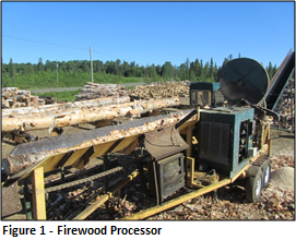 Figure 1 - Firewood Processor