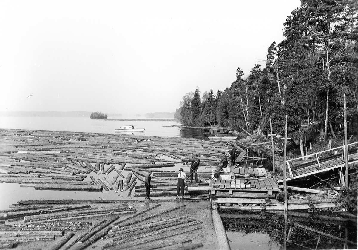 Archival photo of workers and log drive on Lake Temagami
