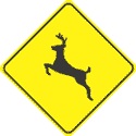 Wildlife warning highway sign - deer