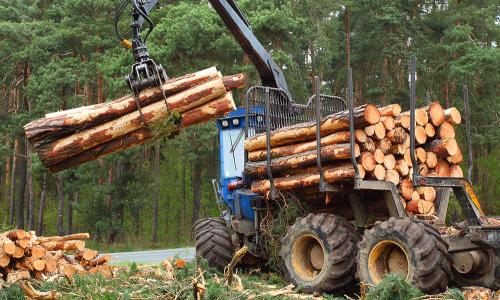 Mechanical Harvesting