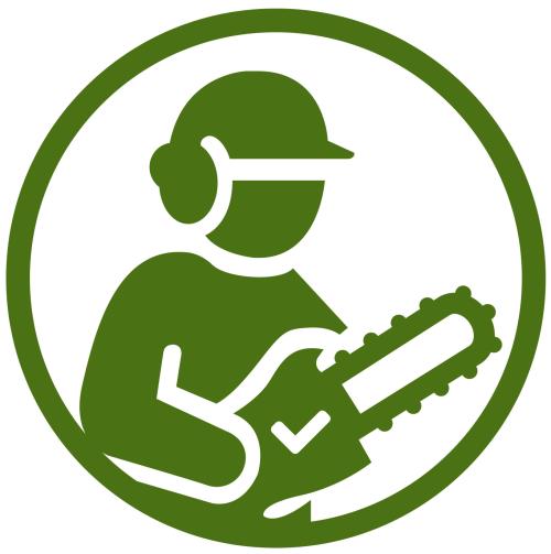 Professional Chainsaw Operator