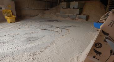 Wood Dust Exposure E-learning