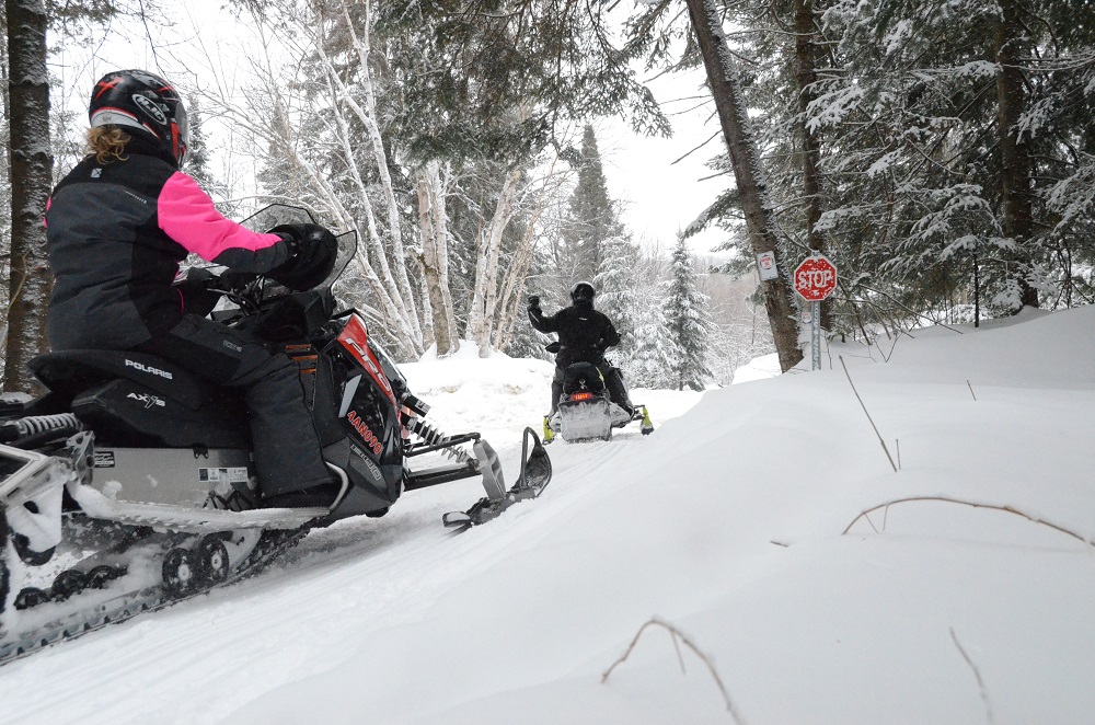 two snowmobilers riding in snowy forest